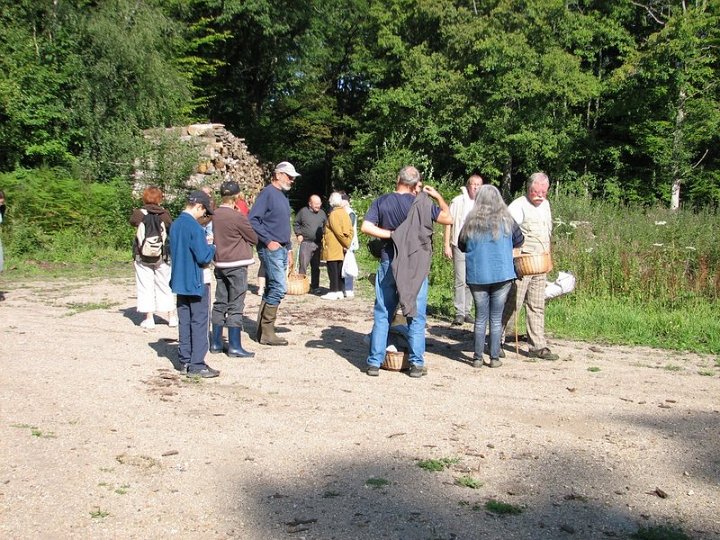 2011 07  Myco bois des Plainvaux 03